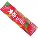 Lotte Ume Gum