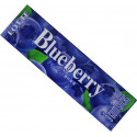 Lotte Blueberry Gum