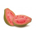 Sagiko Pink Guava